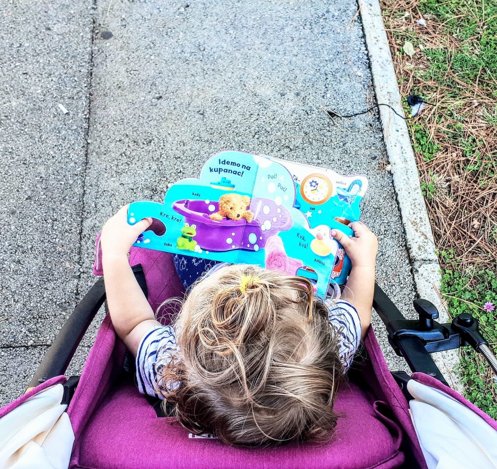 Uspjele smo posuditi knjigu