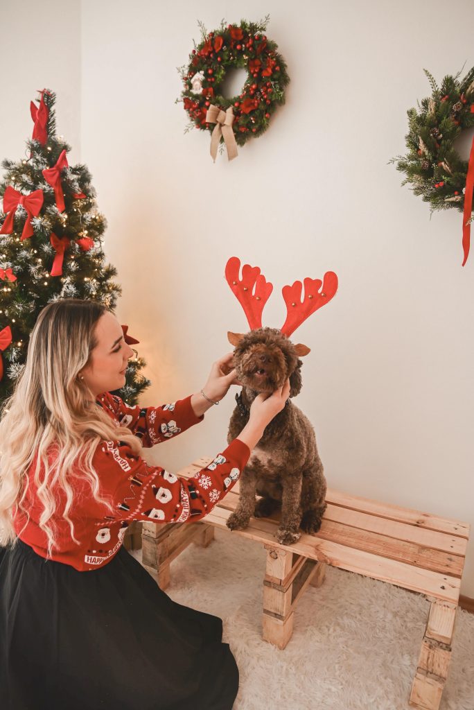 bozicno-fotografiranje-s-psom