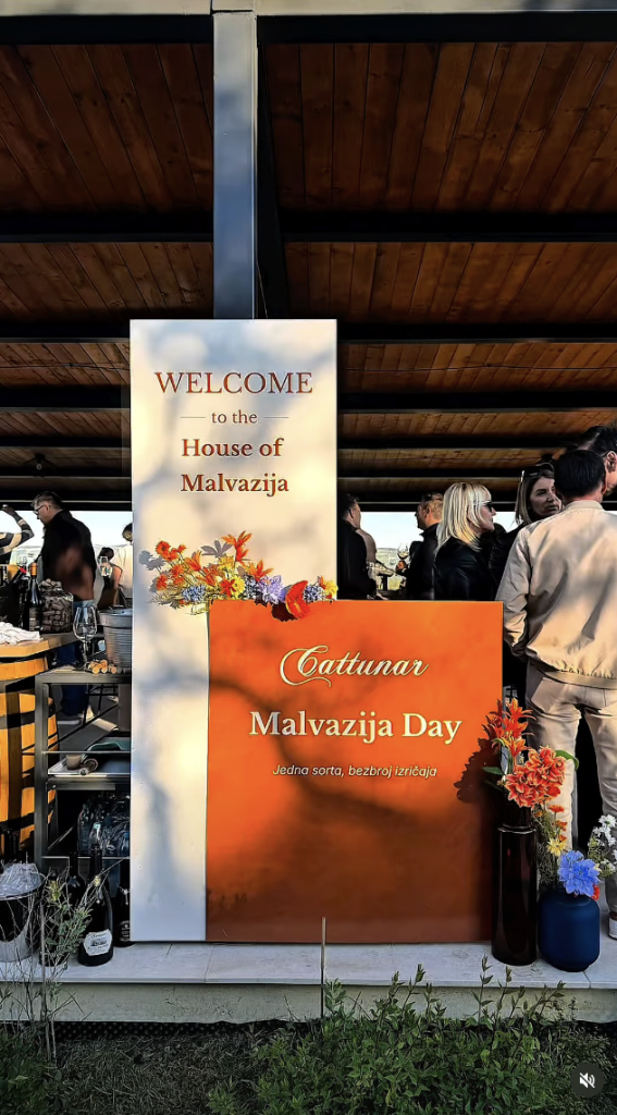Fotografija s vinskog eventa Malvazija Day u vinariji Cattunar