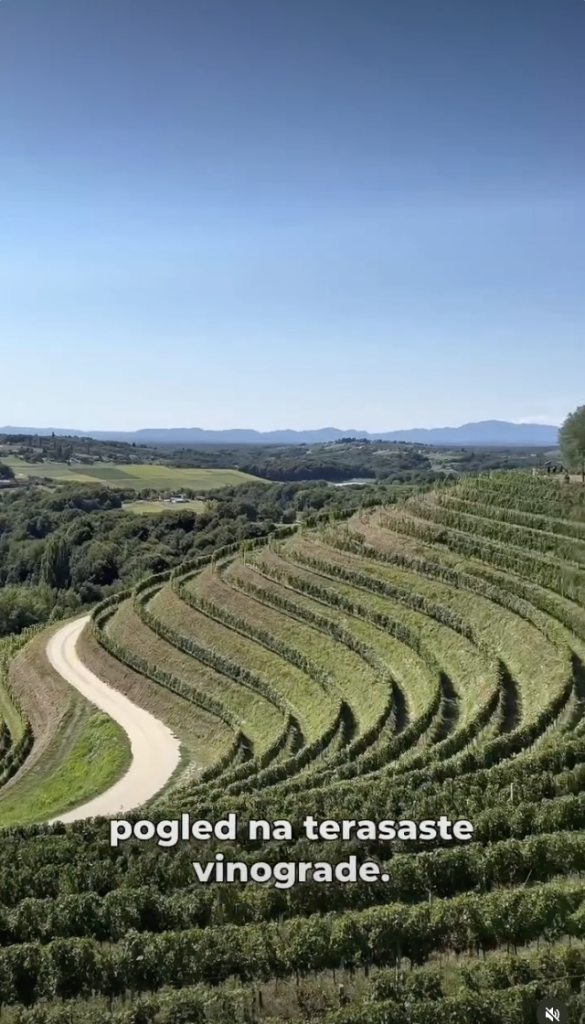 Pogled na vinograde i krajolik Mađerkinog brega kao dio vinskog storytelling sadržaja